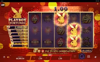 Playboy Fortunes – Winning spin