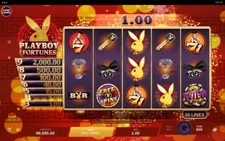 Playboy Fortunes – Winning spin