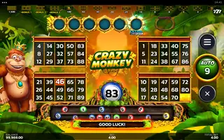 Crazy Monkey Ultra Link&Win – Base game