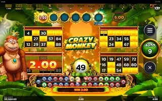 Crazy Monkey Ultra Link&Win – Winning spin