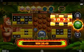 Crazy Monkey Ultra Link&Win – Winning spin