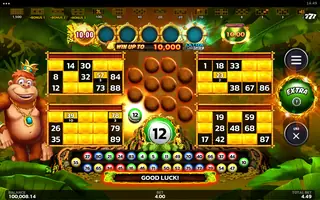 Crazy Monkey Ultra Link&Win – Bonus round