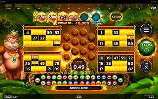 Crazy Monkey Ultra Link&Win – Bonus round