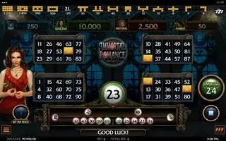Immortal Romance Video Bingo – Base game