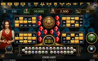 Immortal Romance Video Bingo – Feature in play