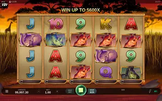 African Quest – Base game