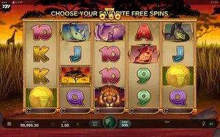 African Quest – Feature in play