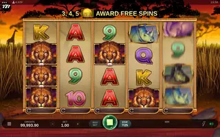 African Quest – Feature in play