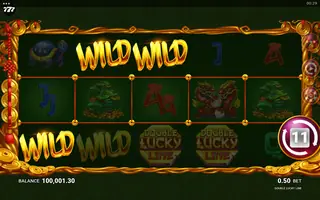 Double Lucky Line – Feature in play