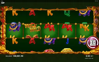 Double Lucky Line – Feature in play