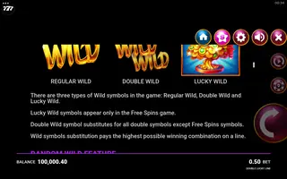 Double Lucky Line – Game rules