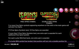 Double Lucky Line – Game rules