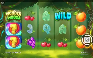 Wonder Woods – Base game