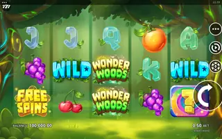 Wonder Woods – Base game