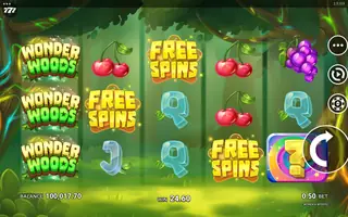 Wonder Woods – Winning spin