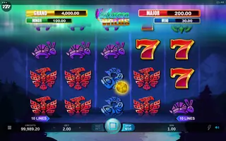 Aurora Wilds – Feature in play