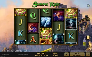 Striking Tiger – Feature in play