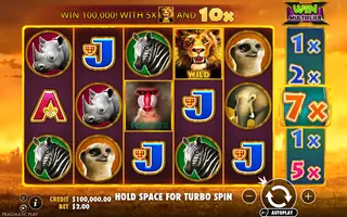 Hot Safari – Base game