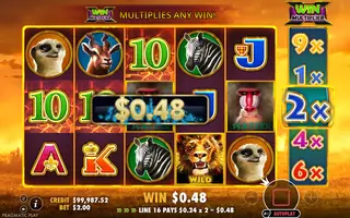 Hot Safari – Winning spin
