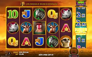 Hot Safari – Feature in play