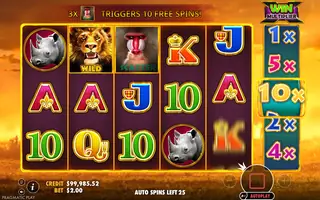 Hot Safari – Feature in play