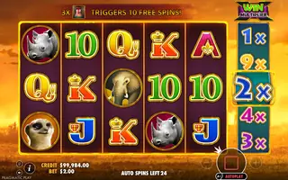 Hot Safari – Feature in play