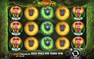 7 Monkeys – Base game