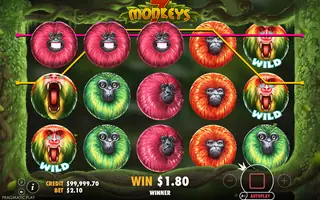 7 Monkeys – Winning spin