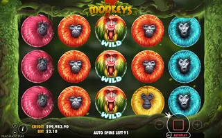 7 Monkeys – Feature in play