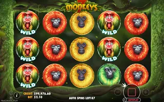7 Monkeys – Feature in play