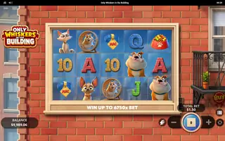 Only Whiskers in the Building – Base game