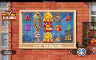 Only Whiskers in the Building – Base game