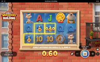 Only Whiskers in the Building – Winning spin