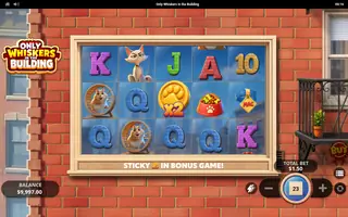 Only Whiskers in the Building – Feature in play