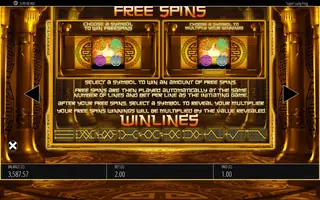 Super Lucky Frog – Game rules