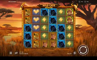 Wild Cats Multiline – Base game