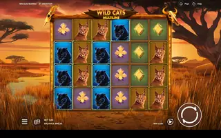 Wild Cats Multiline – Base game