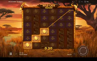 Wild Cats Multiline – Winning spin