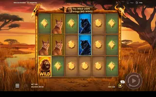 Wild Cats Multiline – Feature in play
