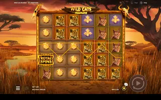 Wild Cats Multiline – Feature in play