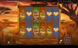 Wild Cats Multiline – Feature in play