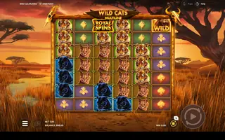 Wild Cats Multiline – Free spins