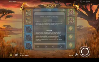 Wild Cats Multiline – Game rules