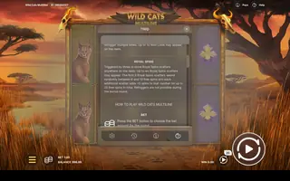 Wild Cats Multiline – Game rules