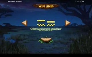 Wild Cats Multiline – Game rules