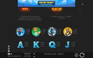 Winter Trophy Hold and Win – Paytable