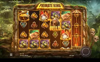 Primate King – Feature in play