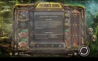 Primate King – Game rules