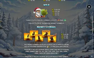 Wild Moose Bonanza Xmas – Game rules