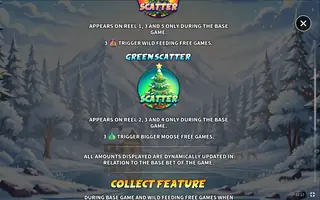 Wild Moose Bonanza Xmas – Game rules